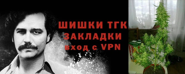 прущие грибы Аркадак