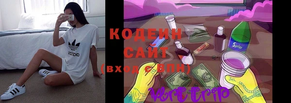 эйфоретик Арсеньев