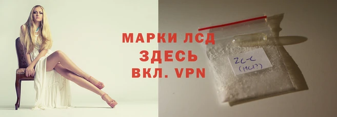 прущие грибы Аркадак