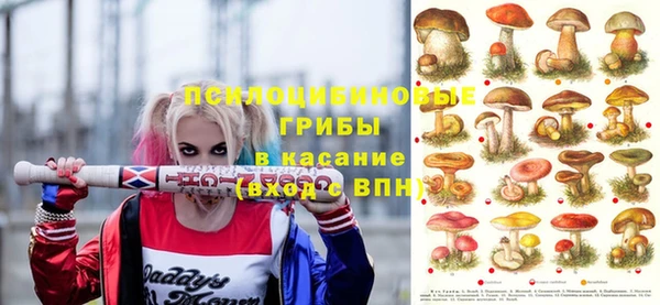 эйфоретик Арсеньев