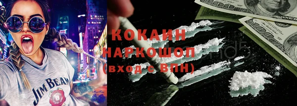 прущие грибы Аркадак