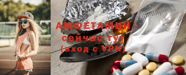 прущие грибы Аркадак