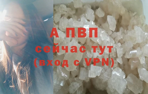 эйфоретик Арсеньев