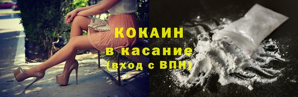 прущие грибы Аркадак